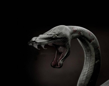 Το-αδιέξοδο,-ΔΝΤ,-τρόΙκα-Εξ.